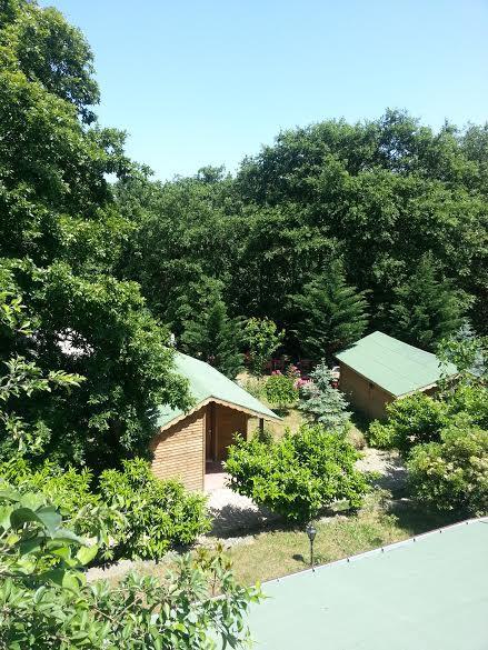 Green House Garden Park Hotel Cumhuriyet Buitenkant foto