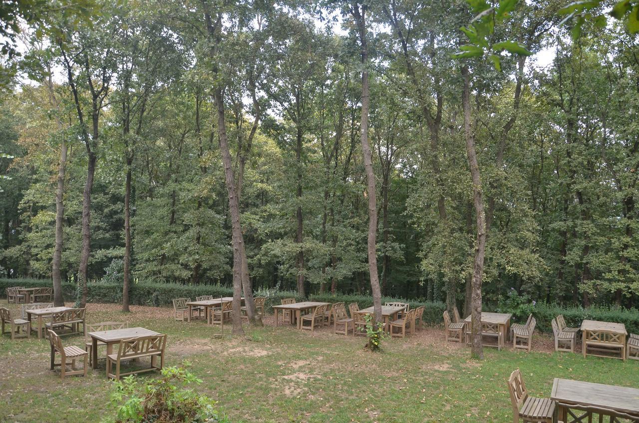 Green House Garden Park Hotel Cumhuriyet Buitenkant foto