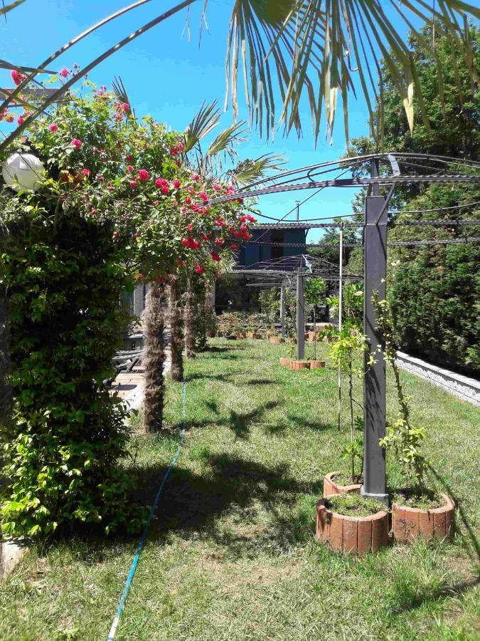 Green House Garden Park Hotel Cumhuriyet Buitenkant foto
